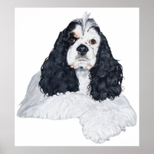 Poster Cocker Spaniel Américain