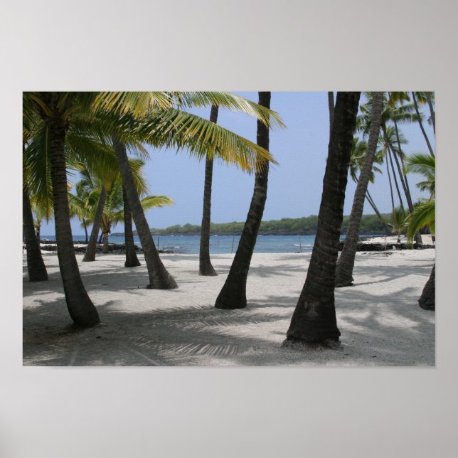 Poster Cocotiers au lieu de refuge, Hawaii - Imprimer (Devant)