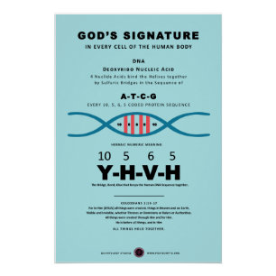 Poster Code ADN-YHVH