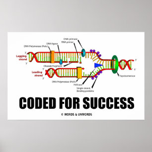 Poster Coded For Success DNA Replication Humor
