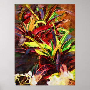 Poster Codiaeum tropical - Croton