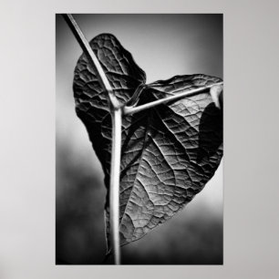 Poster coeur crucifié