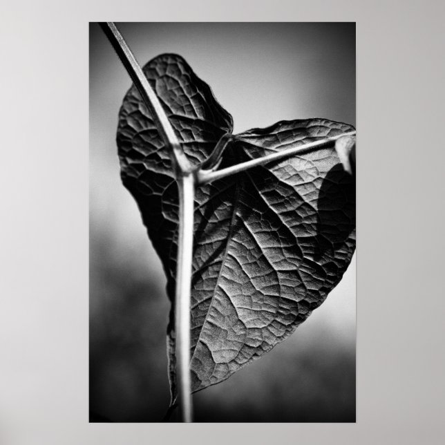 Poster coeur crucifié (Devant)