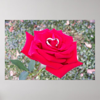 Poster Coeur en Rose