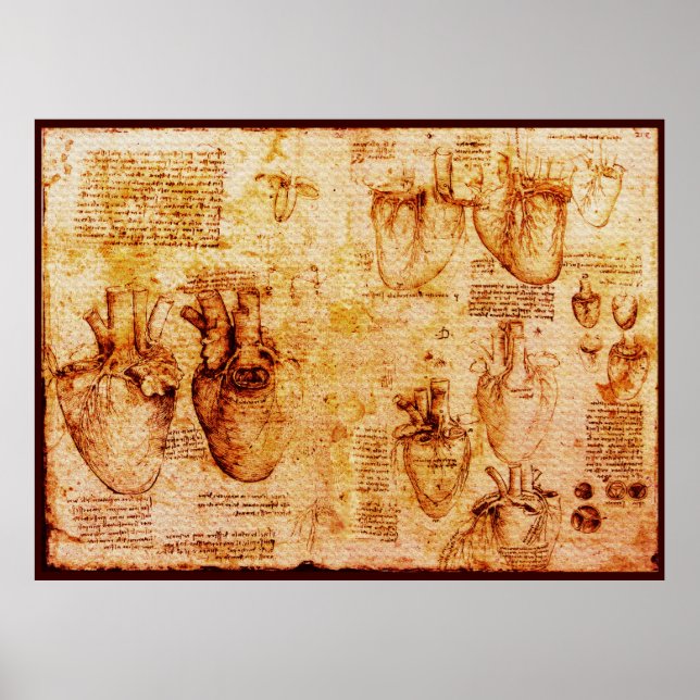 Poster Coeur Et Ses Vaisseaux De Sang, Toile Brown (Devant)