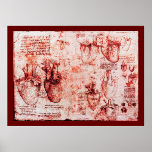 Poster Coeur Et Ses Vaisseaux De Sang, Toile Rouge