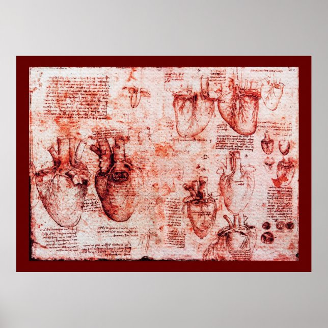 Poster Coeur Et Ses Vaisseaux De Sang, Toile Rouge (Devant)