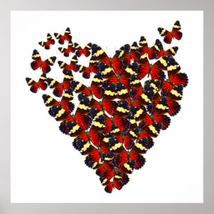 Poster Coeur papillon