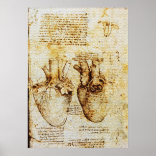 Poster Cœur, Ses vaisseaux sanguins, Léonard de Vinci, Sé