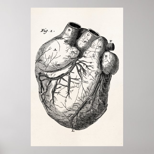 Poster Coeurs cardiaques rétro Cardiac des années 1800 vi (Devant)