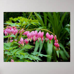 Poster Coeurs toxiques