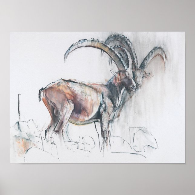 Poster Col di Vermianaz (Devant)