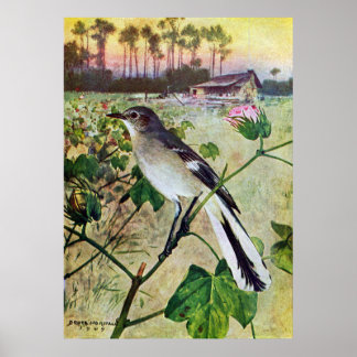Poster Colibri