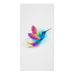 Poster Colibri arc-en-ciel exotique