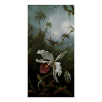 Colibris et orchidée blanche par Martin J. Heade
