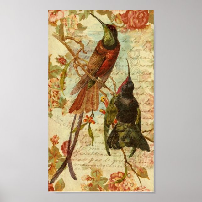 Poster Colibris et Roses (Devant)