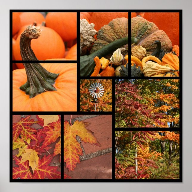 Poster Collage d'automne (Devant)