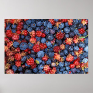 Poster Collage de baies sauvages Bleues Bleues Framboises