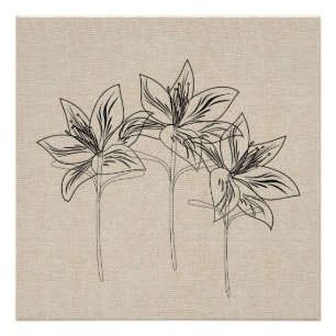 Poster Collage de toile de dessin de ma Lys de jardin