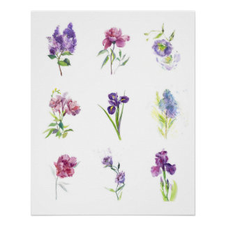 Poster Collection de fleurs printanières à l'aquarelle bo