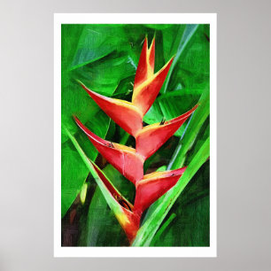 Poster Collection de peinture à l'huile d'hélioonie tropi