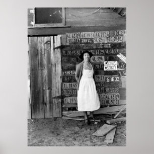 Poster Collection de plaques de licence des années 1930