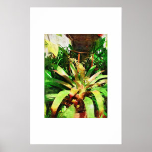 Poster Collection tropicale de peinture à l'huile de