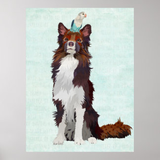 POSTER COLLIE COLORÉE ET OISEAU BLEU