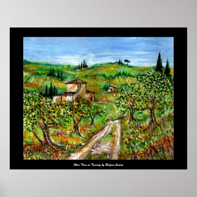 Poster Collines vertes et oliviers Paysage de Toscane (Devant)