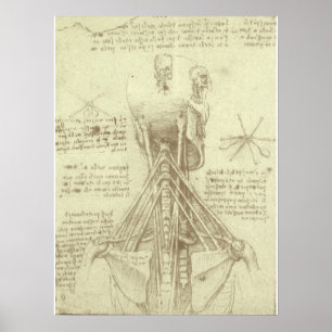 Poster Colonne vertébrale de l'anatomie humaine par Léona