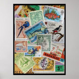 Poster Coloré Vintage Island Timps Imprimer