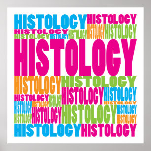 Poster Colorful Histology