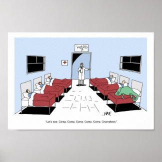 POSTER COMA COMA CHAMELEON