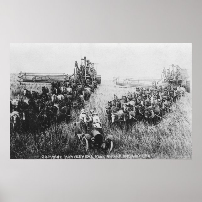 Poster Combiner la scène de moissonneuse (Devant)