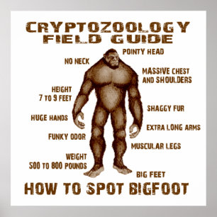 Poster COMMENT POSER BIGFOOT - Guide pratique de la crypt