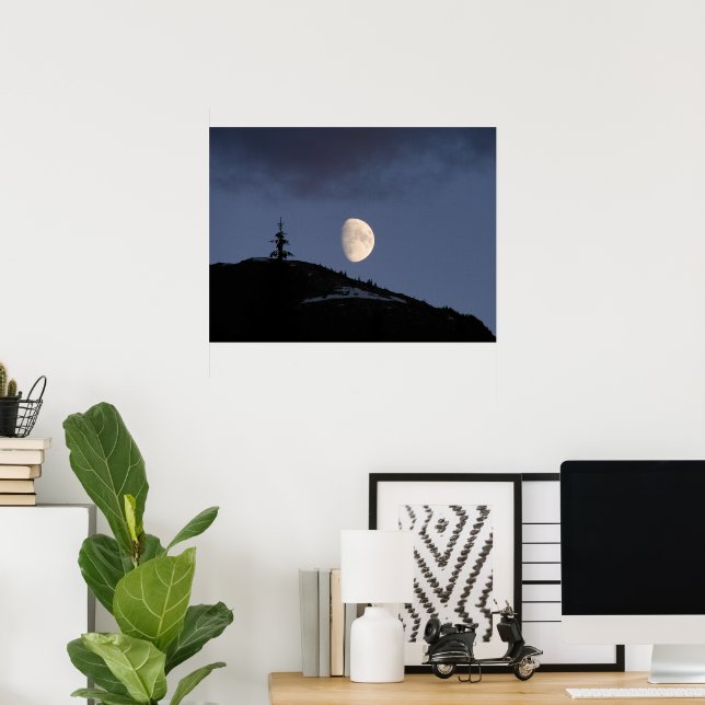 Poster Compagnon solitaire (Bureau à domicile)