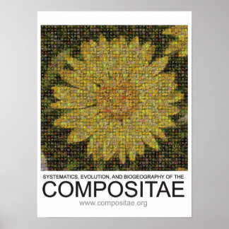 Poster composite