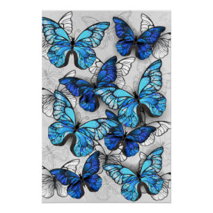 Poster Composition de papillons blancs et bleus