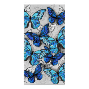 Poster Composition de papillons blancs et bleus