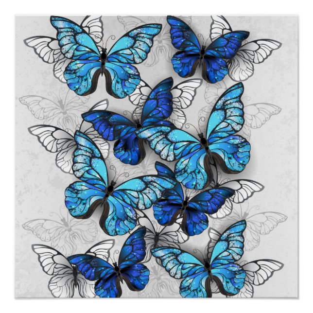 Poster Composition des White and Blue Butterflies (Devant)