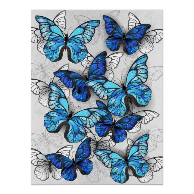 Poster Composition des White and Blue Butterflies (Devant)