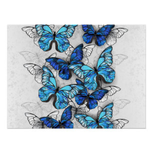 Poster Composition des White and Blue Butterflies