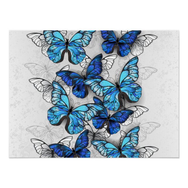 Poster Composition des White and Blue Butterflies (Devant)