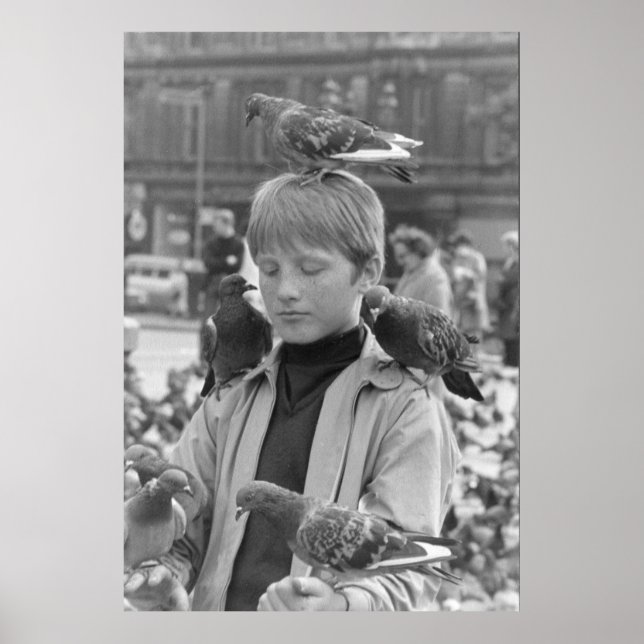 Poster Concentration pour un jeune St Francis 1968 (Devant)