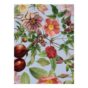 Poster Conception botanique vintage
