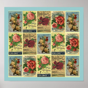 POSTER ~CONÇU À PARTIR DU GUIDE CULTUREL ROSE VINT