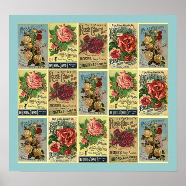 POSTER ~CONÇU À PARTIR DU GUIDE CULTUREL ROSE VINT (Devant)