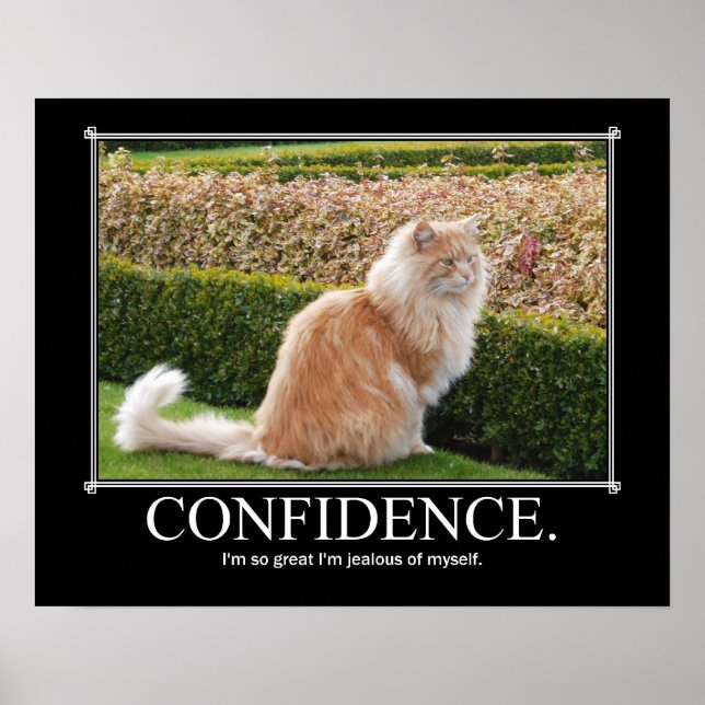 Poster Confiance Cat Art Drôle (Devant)