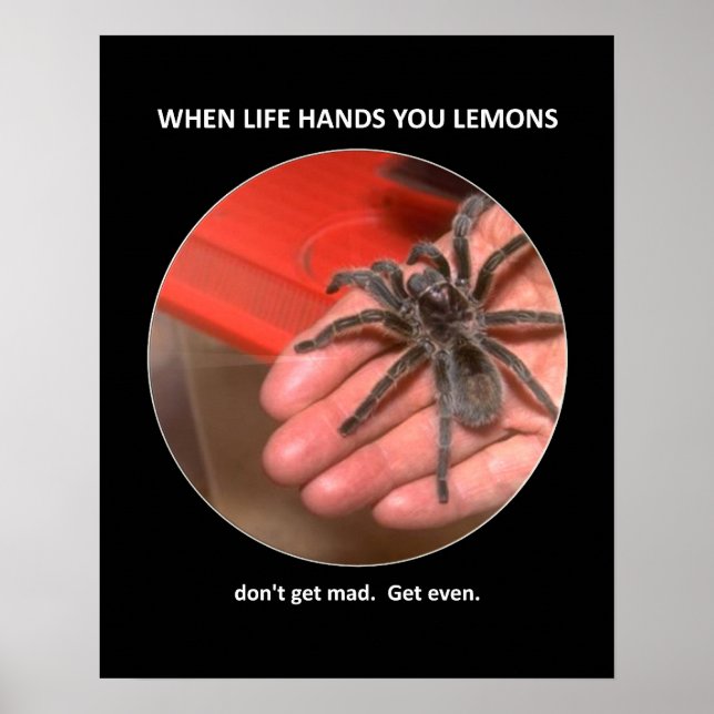 Poster Conseils amusants ne pas obtenir Mad obtenir même (Devant)