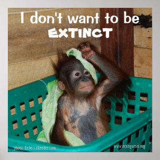 Poster Conservation de la faune Pouty Baby